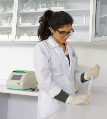 Investigación
